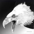 águila blanca en blanco y negro